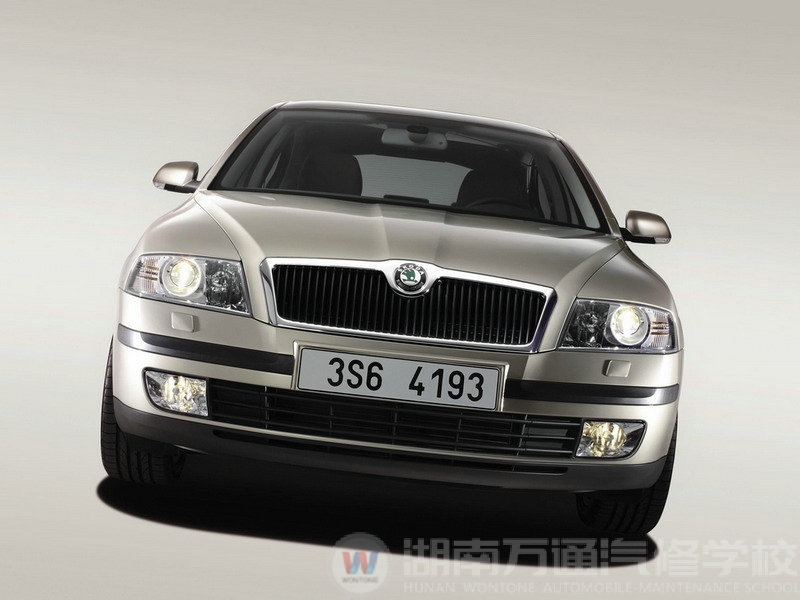 斯柯達(dá) - 歐雅系列