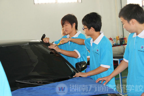 專家解讀：學什么專業(yè)好