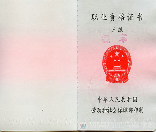 湖南萬(wàn)通汽車(chē)學(xué)校，職業(yè)資格證書(shū)三級(jí)