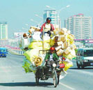 “世界消除貧困日”你還在貧困么？