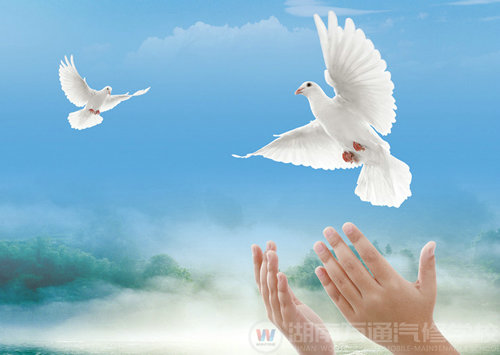 湖南萬通 夢想起航的地方