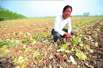 網易訊：學技術 讓子女華麗轉身