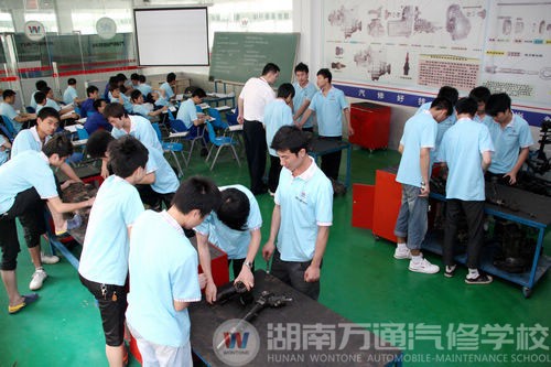 大學不是“大概學學” 學有所成才能成為有用之材