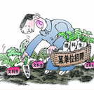 填志愿指南：文科生報(bào)什么專業(yè)才能“畢業(yè)不失業(yè)”？