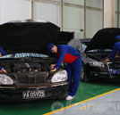 萬通成就事業(yè) 職場技能論英雄