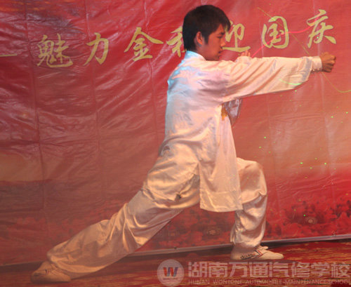 精彩的武術(shù)表演
