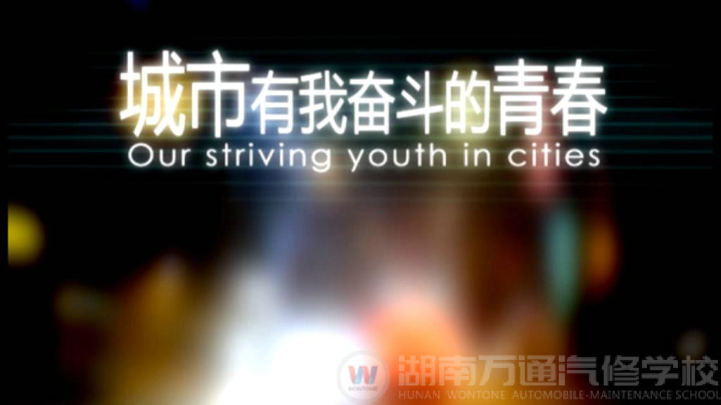 城市，有我?jiàn)^斗的青春