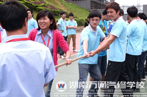 愛就是教育 沒有愛便沒有教育—記湖南萬通優(yōu)秀班主任陳鳳嬌