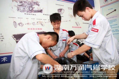 一起動手，其樂融融