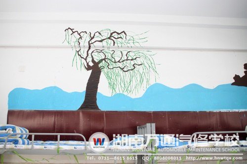 別有一番意境的垂柳