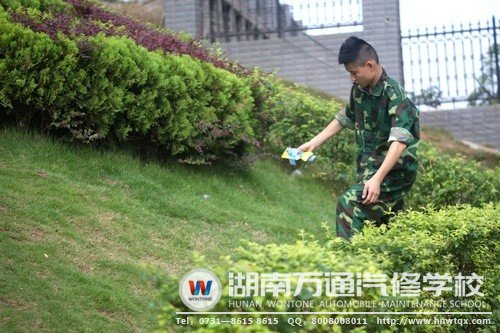 在片刻的歇息時(shí)間里，帥哥新生不是坐著休息，而是拾起了飄到草叢中的垃圾