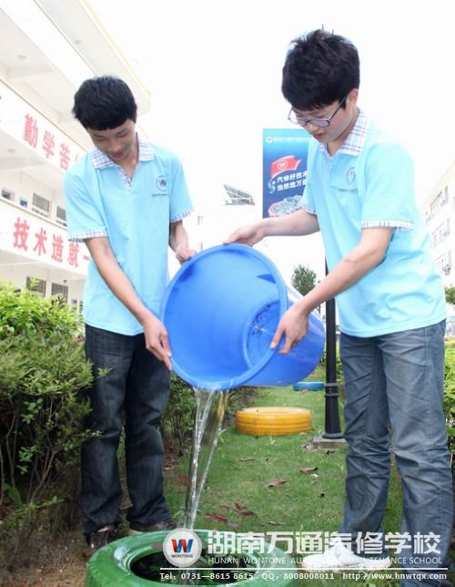 悉心照顧學(xué)校里的一草一木