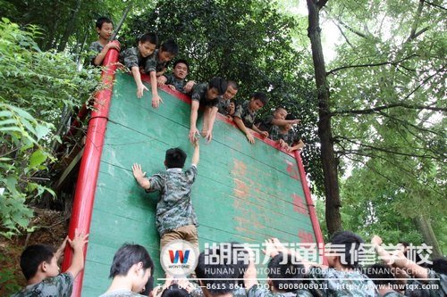 拓展訓練，見證學子的團結(jié)凝聚力