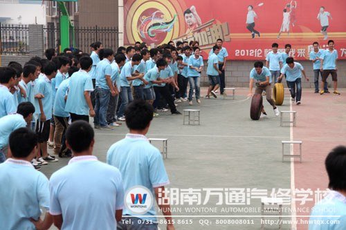 三教三訓之素質(zhì)拓展