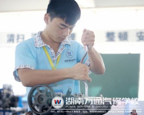 白龍學(xué)習(xí)起來十分帶勁