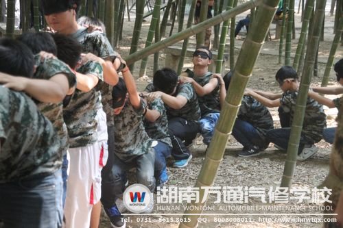 跟著仙人走，不怕沒路走