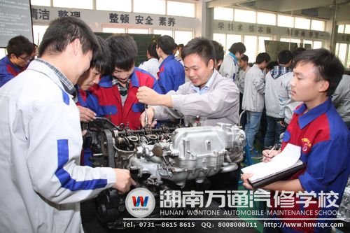 湖南萬通因材施教育人才