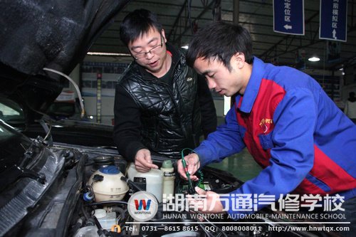 蔡強在學校里學得不亦樂乎