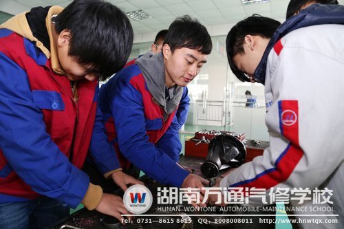 羅樂(lè)與同學(xué)一起實(shí)踐