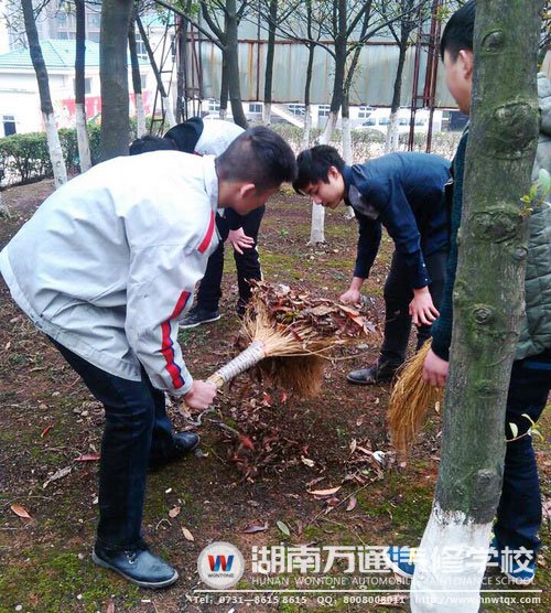 養(yǎng)成良好的行為素養(yǎng)