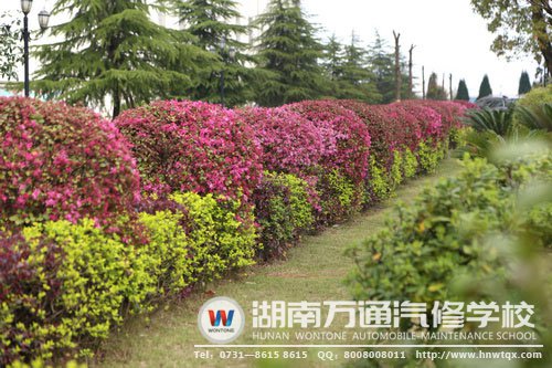 置身于此，你的心情還會(huì)不好么？