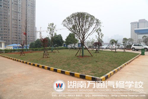 學(xué)校綠化帶大改造中