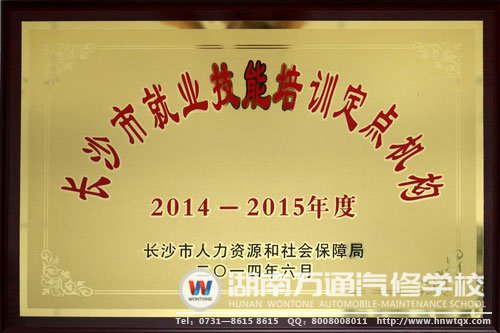 長沙市就業(yè)技能培訓定點機構