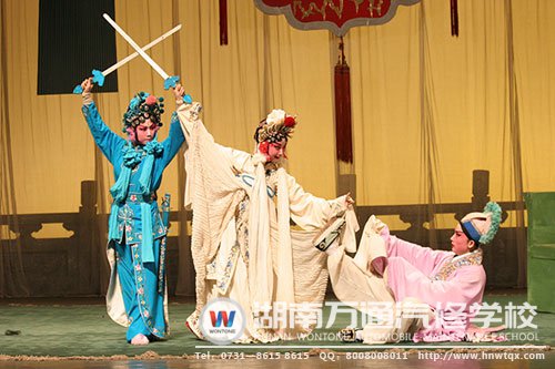 高中畢業(yè)學(xué)什么好