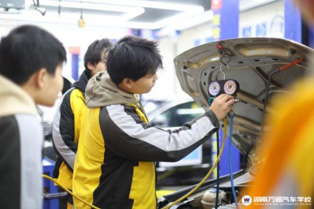 2025春季報(bào)名持續(xù)火爆!他們?yōu)楹芜x擇湖南萬(wàn)通?