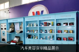 ��܇���݌�Ӗ��Ʒչʾ