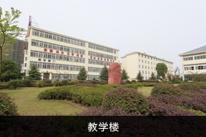�̌W(xu��)��