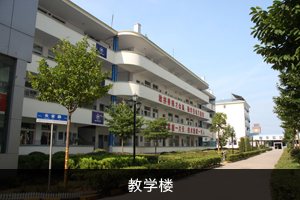 �̌W(xu��)��