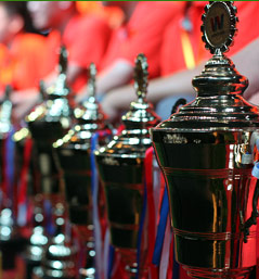 一排排獎杯 一份份付出