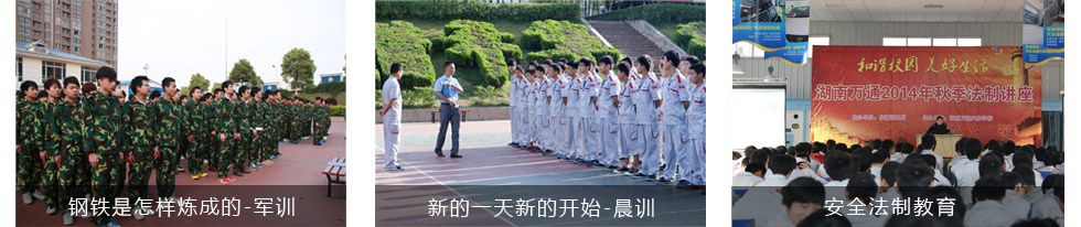 ������Ӗ+6S�༉����